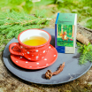 Bylinný čaj Nadechnutí v lese