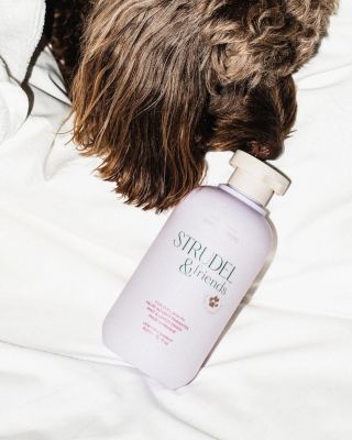 Dnes slavíme Mezinárodní den psů! 🐶 Věděli jste, že tento den vznikl už v roce 2004, aby připomněl, kolik radosti nám...